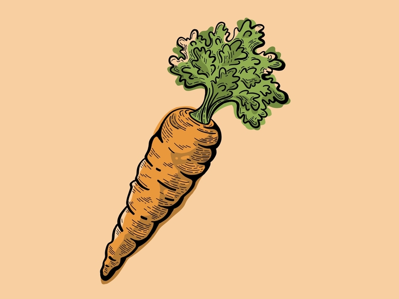 Carrot Illustration - Woodcut Style carrot digital art digital illustration drawing etching garden hand drawn health healthy illustration illustrator line art lino lino cut lino print organic vegetable veggie wood block woodcut