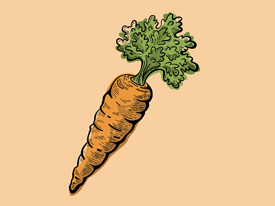 Carrot Illustration - Woodcut Style