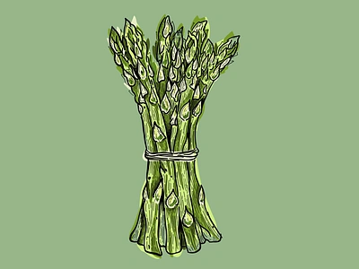 Food Illustration of Asparagus asparagus branding carving chef cooking design dinner etching food garden green healthy illustration lino menu minimal organic recipe vegetable veggie