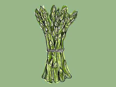 Food Illustration of Asparagus asparagus branding carving chef cooking design dinner etching food garden green healthy illustration lino menu minimal organic recipe vegetable veggie