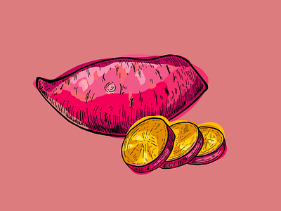 Sweet Potato, Yam Illustration - healthy vegetable series