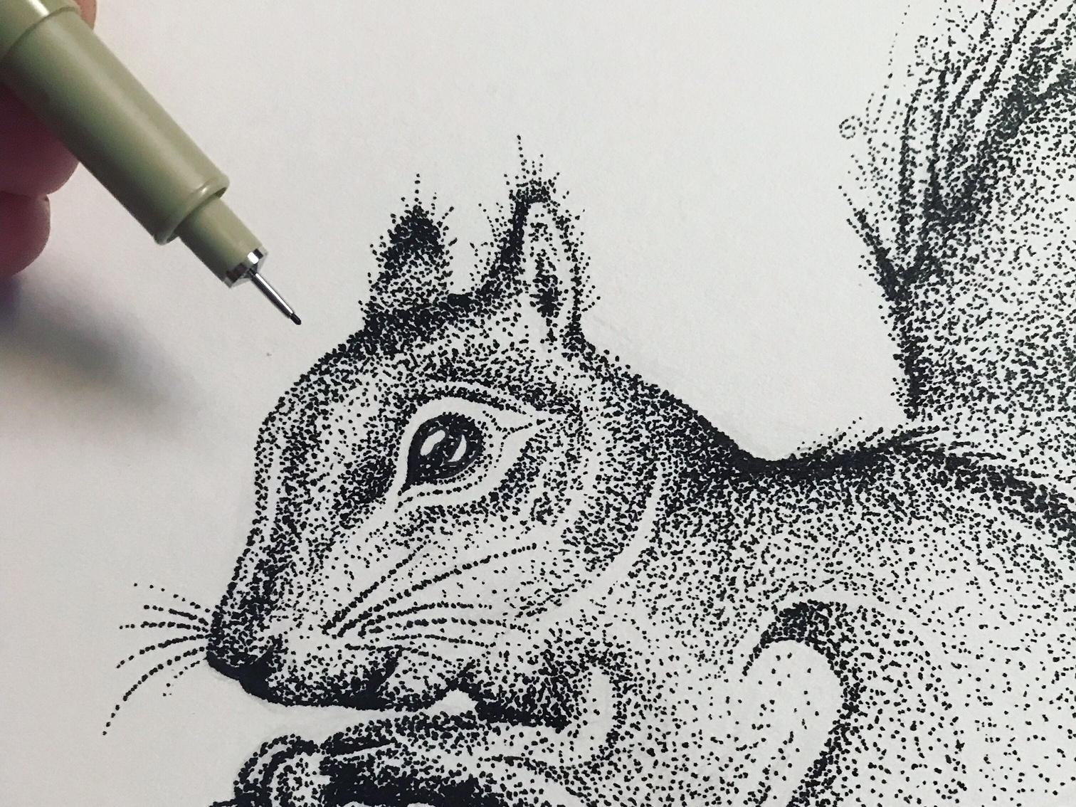 Stipple