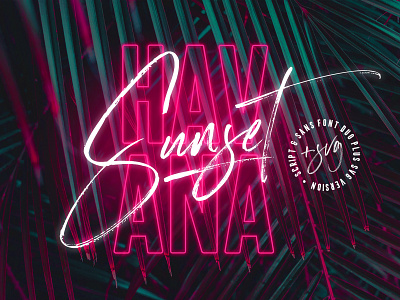 Havana Sunset Font Duo cool font duo fun neon retro sans script summer trendy tropical typeface vibrant