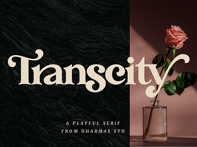 Transcity - A Playful Serif 70s font 80s font branding classy elegant feminine font fonts header headline layout logo luxury magazine modern plyaful retro serif vintage web