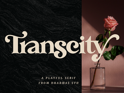 Transcity - A Playful Serif