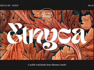 Etnyca - Stylish Serif Typeface instagram