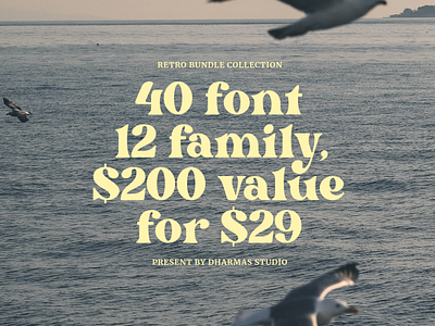 The Retro Font Bundle - 90% OFF 60s font 70s font 80s font aesthetic font display font elegant font feminine font font font ideas fonts layout lettering luxury font magazine playful post card poster retro font serif font typography