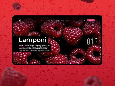 Lamponi Merkato web concept design mainpage raspberry red red black ui web website