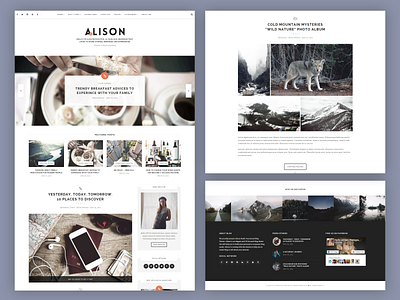 Alison #ui #wordpress design layout ui web wordpress