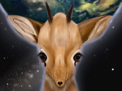 Dikdik with planet