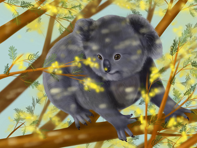 Koala on the tree of mimosa animal art animals animals illustrated art digital digital art digital illustration digital painting digitalart illustration