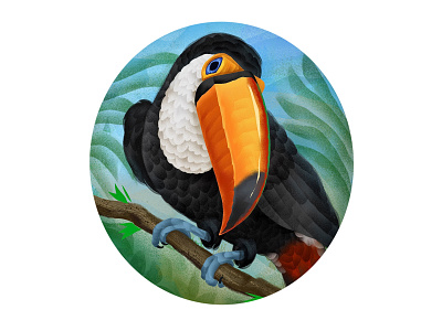Tucan art bird circle colorful design graphics hand drawn icon illustraion procreate tucan
