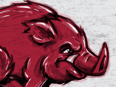 Custom Hog animal arkansas athletics fayetteville hog logo mascot razorback sports