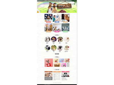 宠物Dog，网页设计完整版 website 宠物dog 宠物商城 网页设计