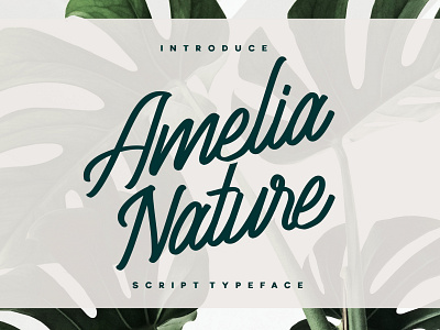 Amelia Nature - Script Typeface advertising art authentic branding branding concept clean display font font label lettering logotype packaging script script font