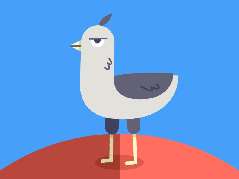 Pigeon Strut GIF animation cycle pigeon walk