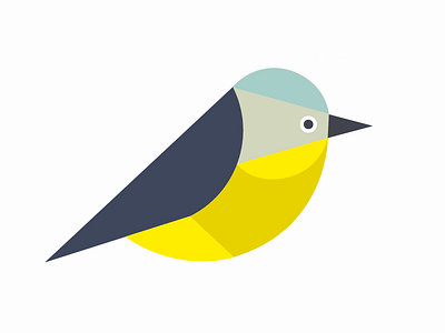 Yellow Robin bird