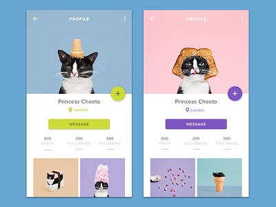 Daily UI Challenge #006 cat dailyui dailyuichallenge flat mobile mobiledesign mobileui princesscheeto profile ui uidesign userprofile