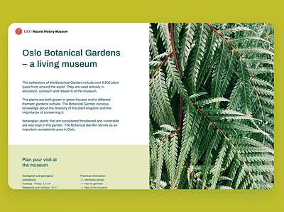 Oslo Botanical Gardens branding colors design minimalistic personal photography plants redesign redesign concept typography ui web webdesign website design