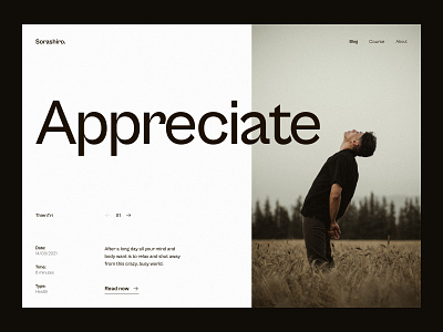 #04 - Appreciate Blog Concept web design