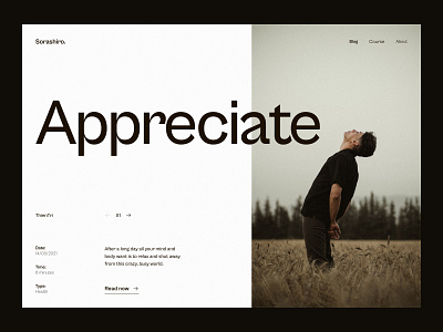 #04 - Appreciate Blog Concept