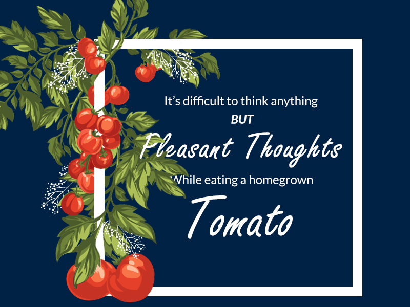 The Tomato by Vanwebbs on Dribbble