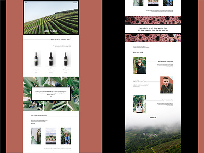 ANA WINE Winery Landing Page Concept (Full Website ) Part 4