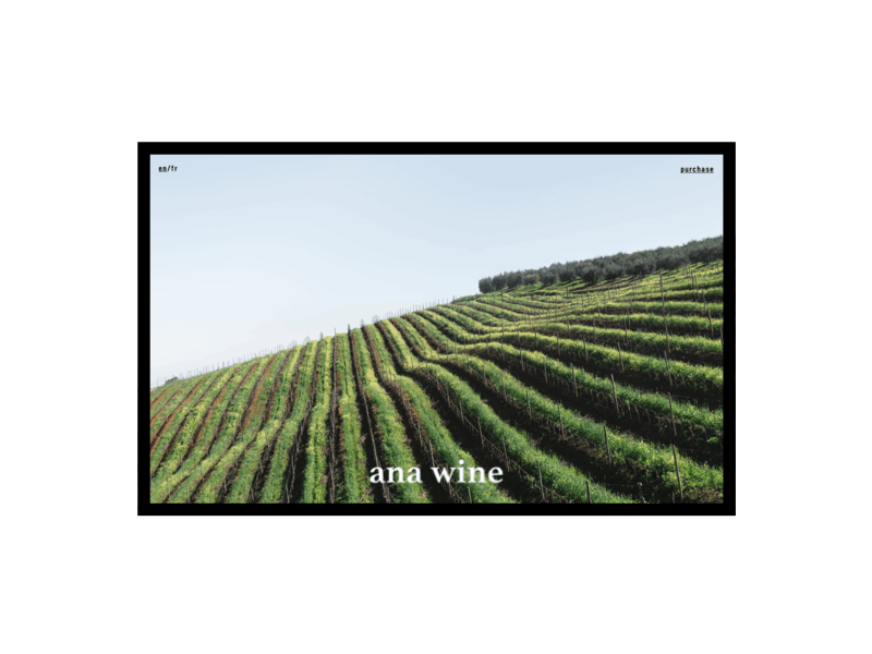 ANA WINE Winery Landing Page Animation Concept (Website)