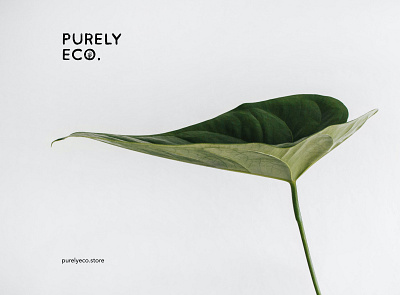 Purely Eco - Logo for an eco-friendly online store branding design ecofriendly ecologic ecology graphic graphic design illustration logo logodesign logotype mockup online shop online store sketch store logo typography vector web webstore