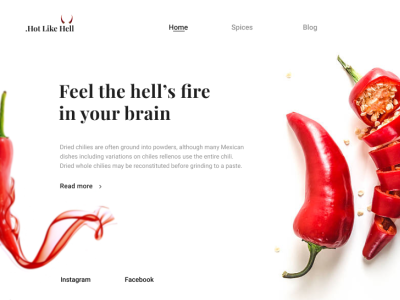 E-shop for spices design minimalism minimalistic ui web webdesign website design