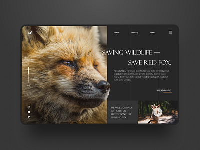 Save Red Fox dark design figma typogpaphy web