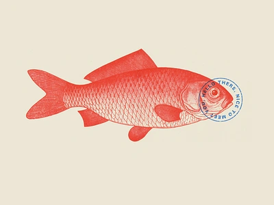 Risography print "Red Fish" animal portrait bichromie decoration poster duotone fish design hatching illustration nice to meet you poisson rouge red fish riso print risograph risography type design vintage illustration