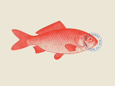 Risography print "Red Fish" animal portrait bichromie decoration poster duotone fish design hatching illustration nice to meet you poisson rouge red fish riso print risograph risography type design vintage illustration