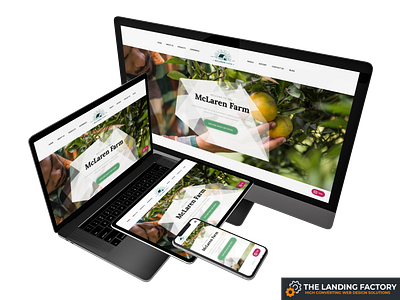 Homepage template design for family farmers elementor family farm farm farmer farming green homepage homepage design landing page landing page concept landing page template organic food page builder page layout ranch responsive responsive design template web design website