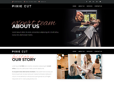 About us page template design for hair salons by Drazen Prastalo on Dribbble