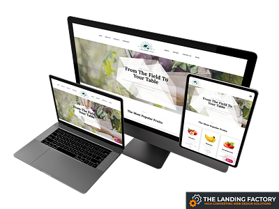 Products page template for family farmers elementor family farm farm farmer farming green landing page landing page concept landing page template organic farm organic food page builder page layout product page products responsive responsive design template web design website