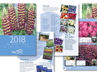 Catalogue artwork catalogue garden nursery marketing