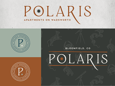 Polaris badge brand identity branding constellation design horoscope illustration logo stars typography vector zodiac
