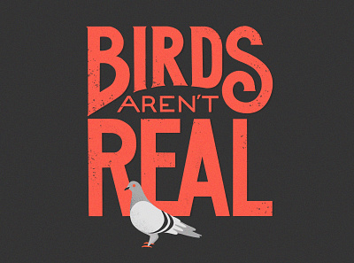 Birds Aren't Real design hand drawn hand lettered hand lettering illustration illustration art illustration design lettering typography
