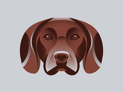 Bavarian Mountain Hound Geometric Print