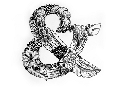 Botanical Ampersand illustration