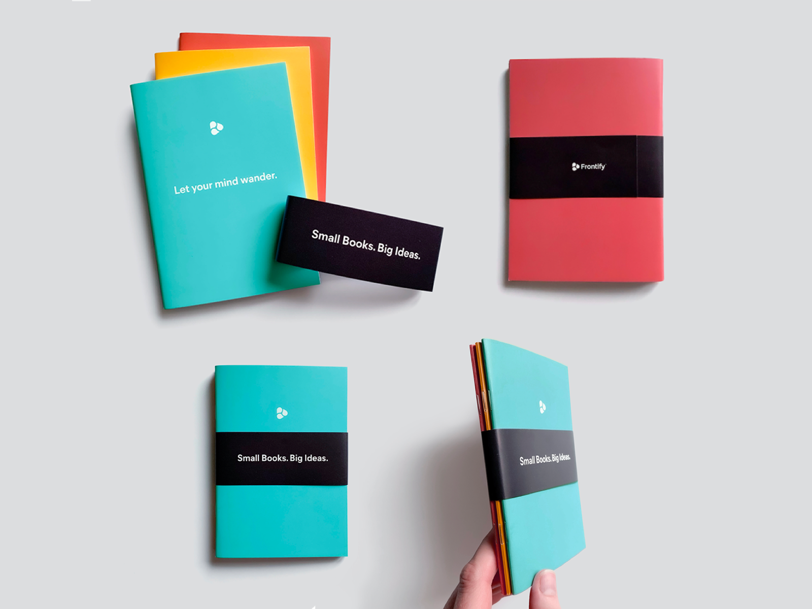 BIG IDEAS//small books, Series