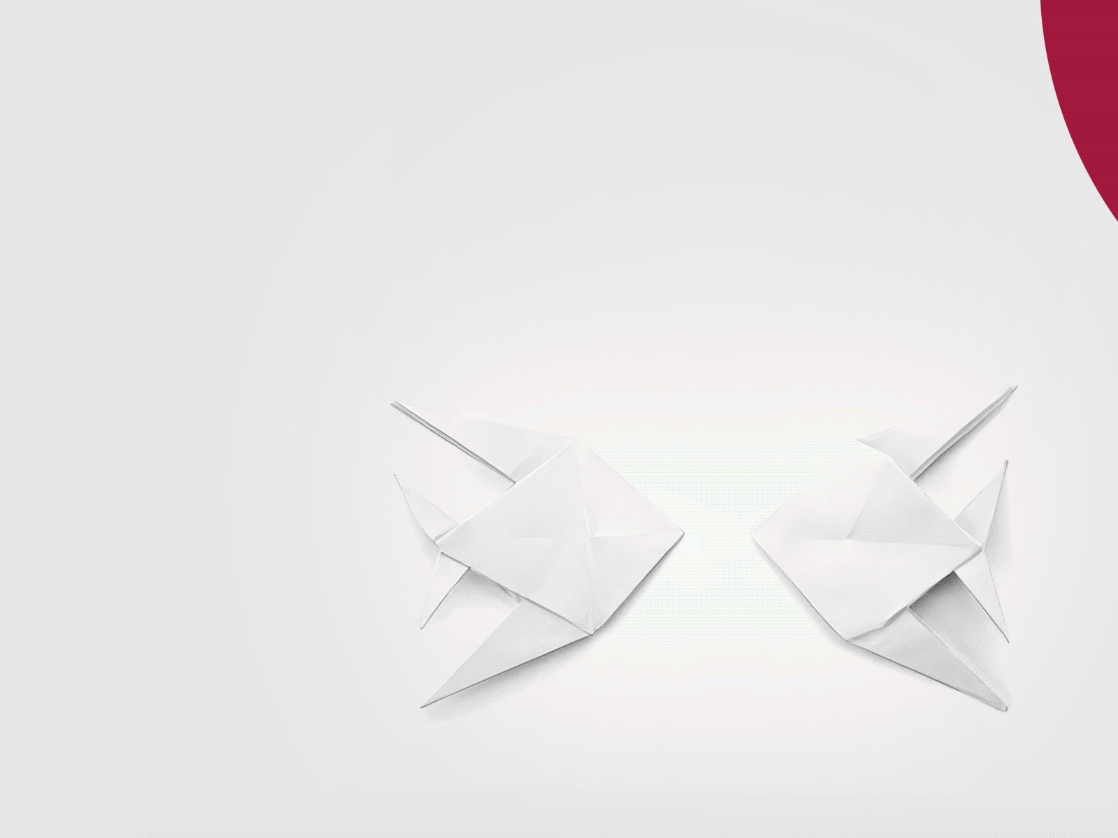 Swiss Life France advertising animal animal art art direction campaign canon company crafts creative creative design creative direction investing investment origami photographer photography photoshop photoshop art social media social network