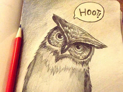 Hoot! moleskin pencil sketch