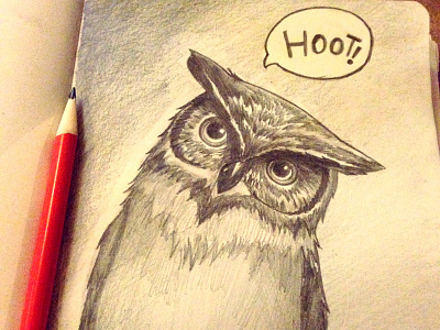 Hoot!