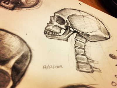 Skull Sketch moleskin sketch skull
