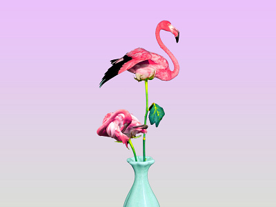 Photoshop Flamingo Challenge flamingo illustration photoshop photoshop art vase vector