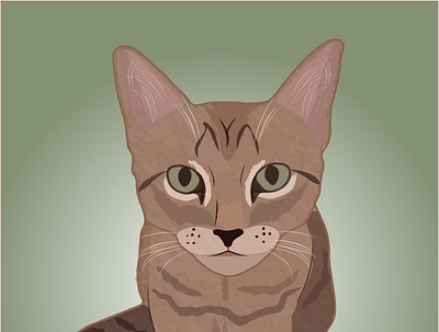 Jasmine adobe illustrator cat digital digitalart drawing illustrator illustrator design jasmine