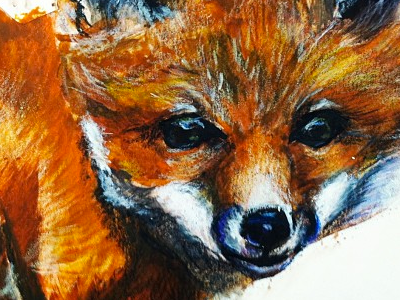 Lil Ole Fox blue colored pencil cute eyes fox gouache illustration kansas orange pencil sketch white