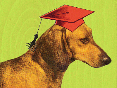 Long Form Grad chicago class collage comedy daschund dog graduation hat illustration quirky second city weiner dog